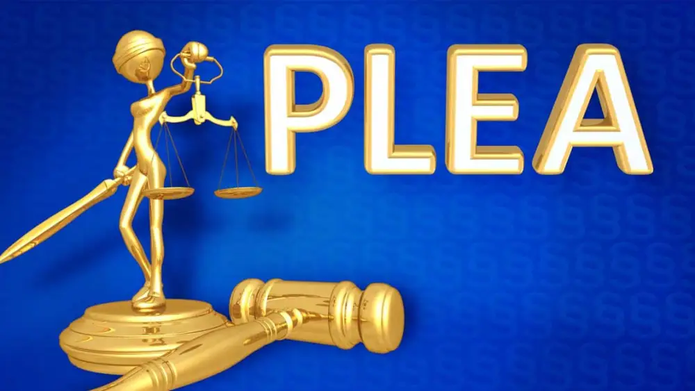 mitigation plea